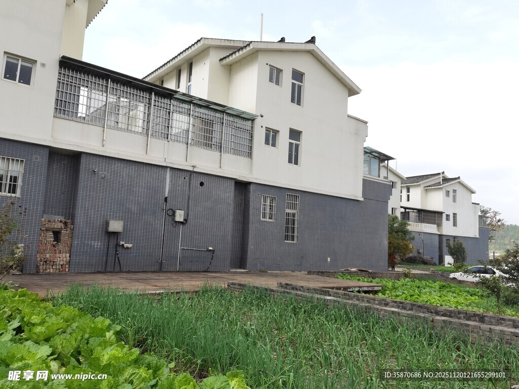 城郊住宅绿植环绕的宁静处