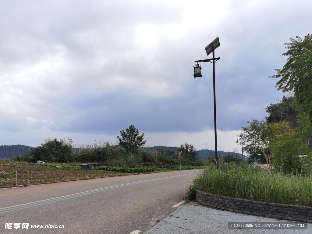 乡村道路旁的路灯与景致