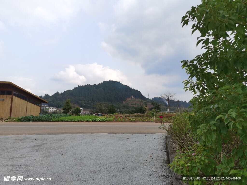 乡村道路旁的自然景致