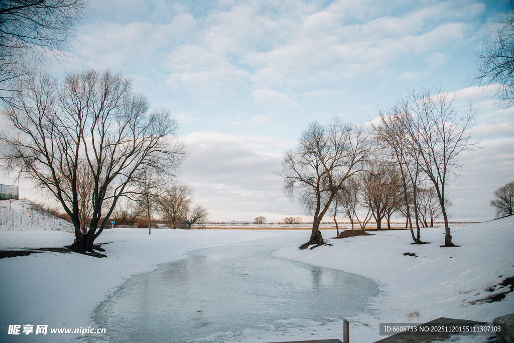 冬日雪景中的静谧河岸