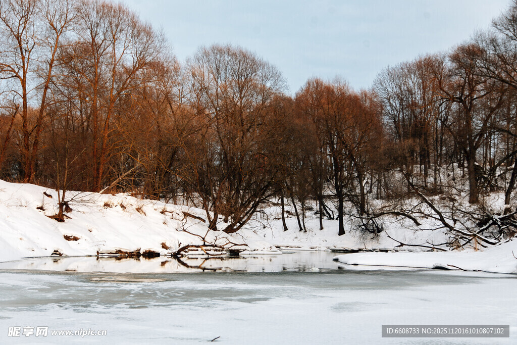冬日河岸雪景与萧瑟树林