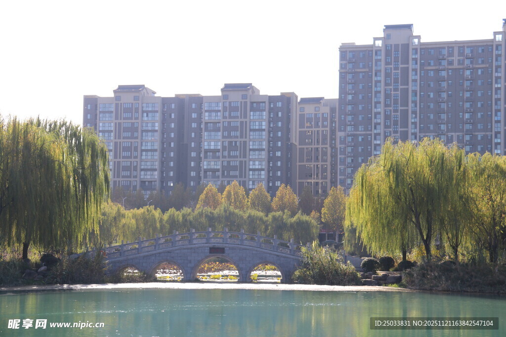 湖畔高楼与垂柳美景