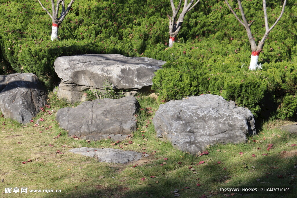 户外草地中的天然石块