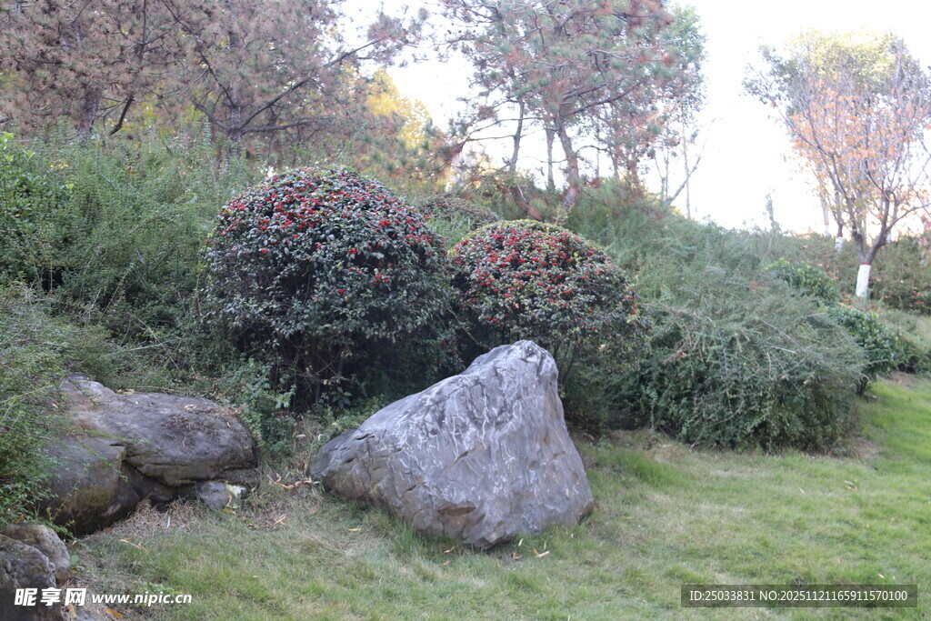 户外草地旁的巨石景观
