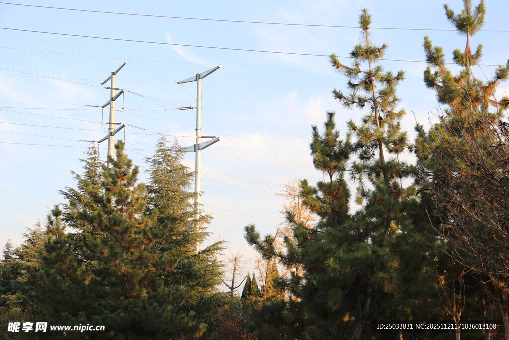 林中矗立的通信信号塔