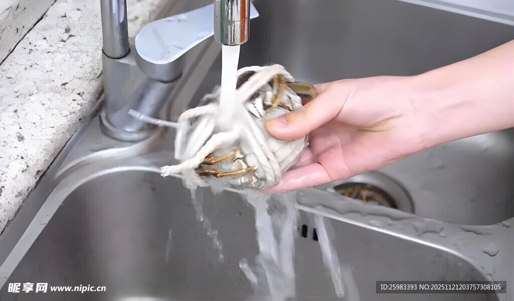 清洗大闸蟹