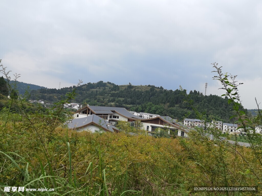 乡村田野间的房屋景观