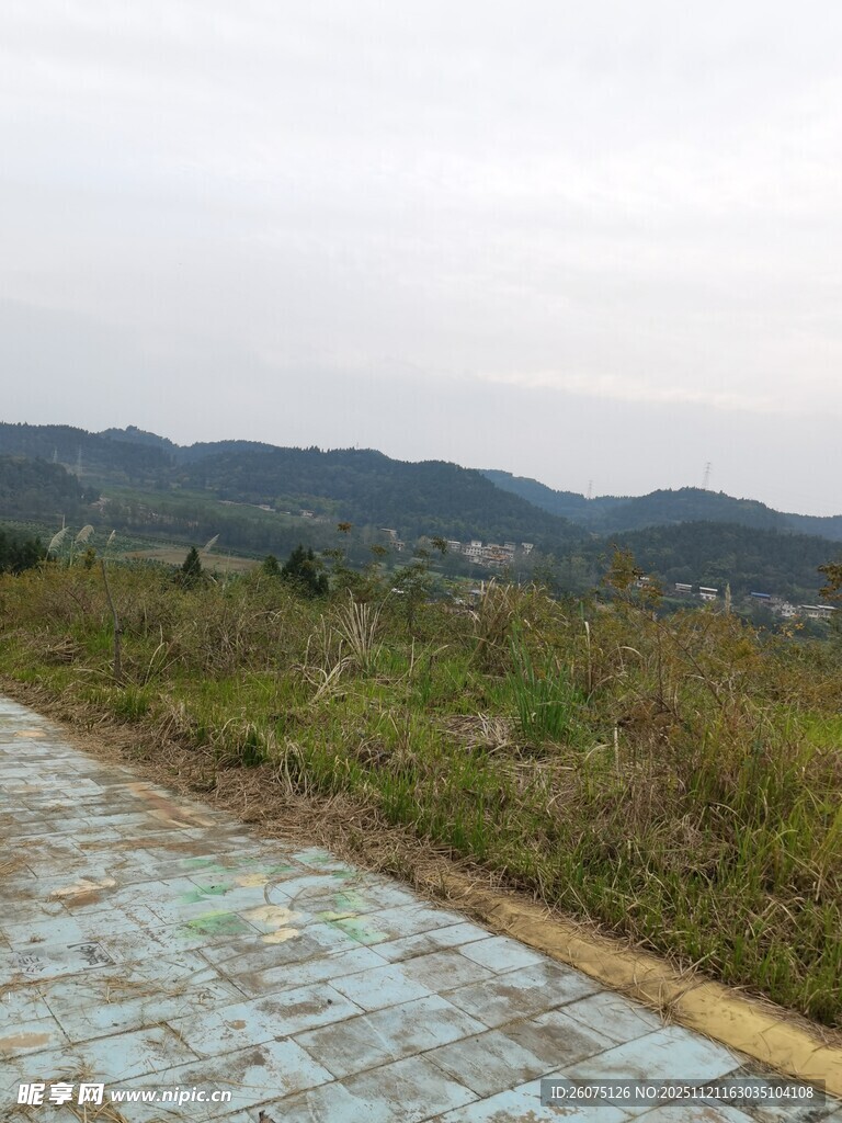 山间碎石路周边绿意盎然