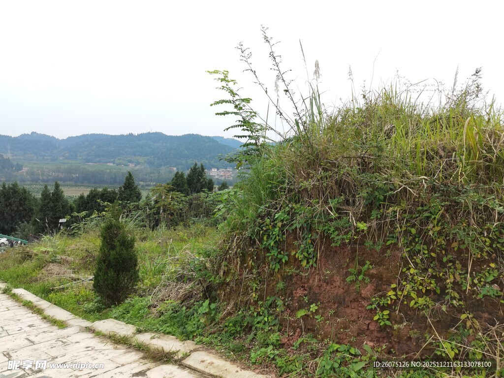 山坡绿植与远处山峦景色