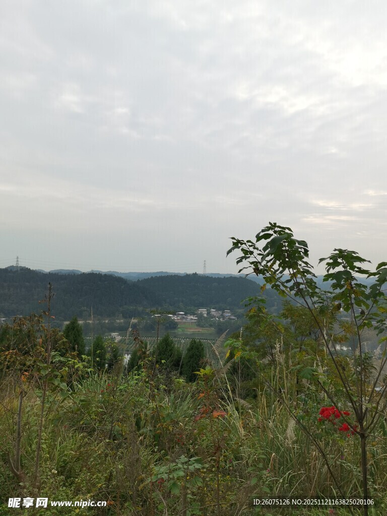 山间植被与远处景致