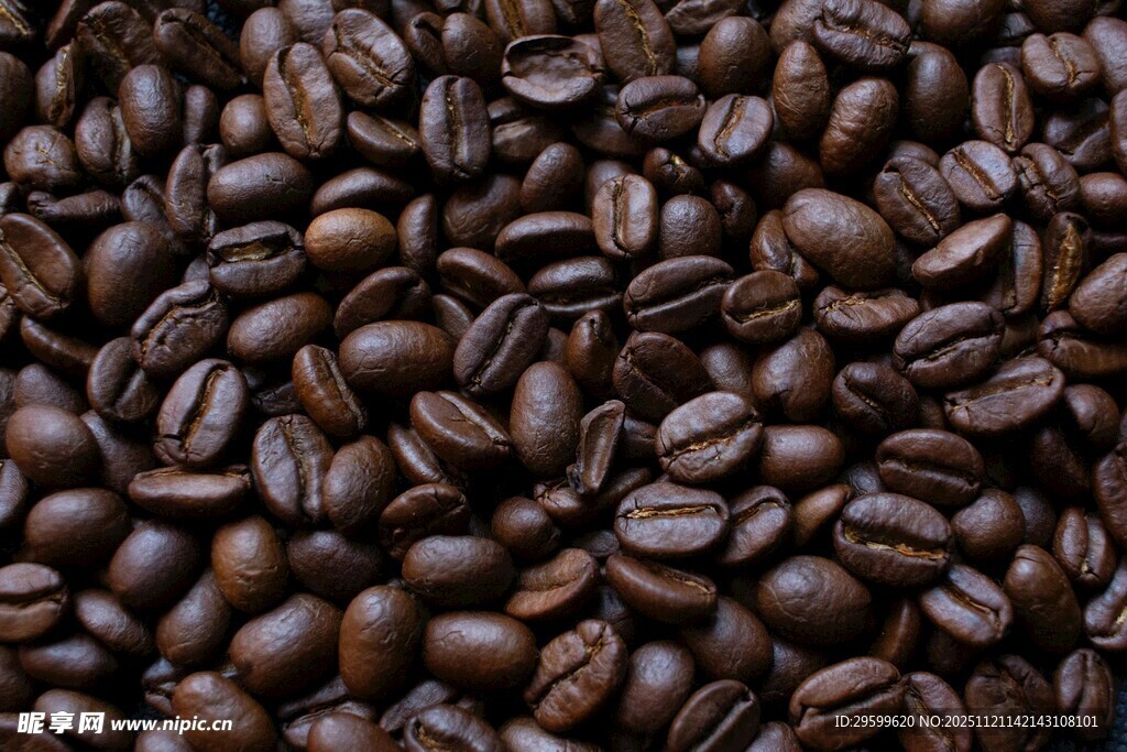 饱满咖啡豆特写