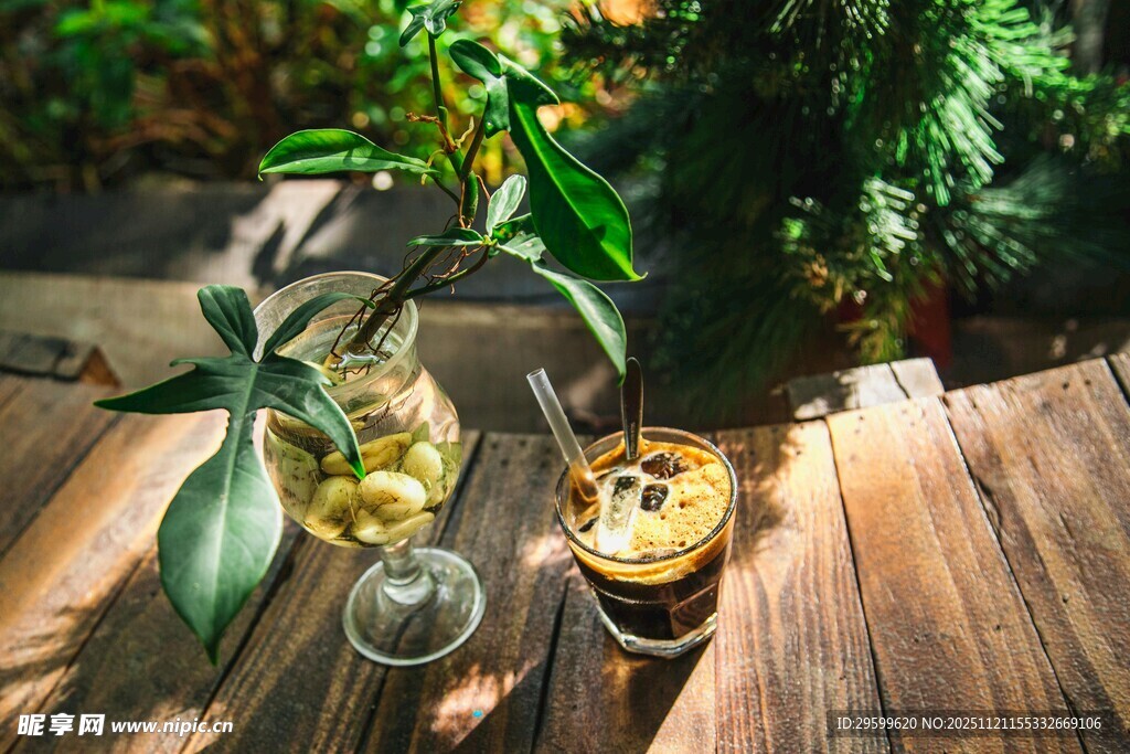 木质桌上的绿植与饮品
