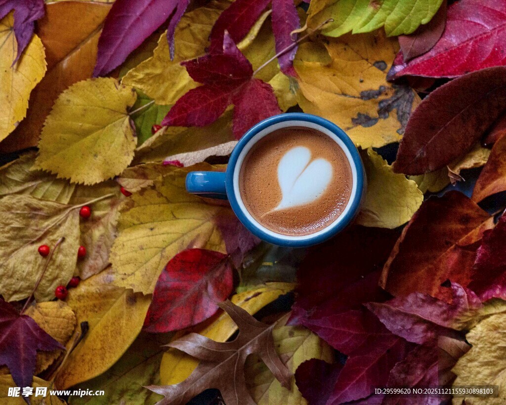 秋日落叶中的爱心咖啡
