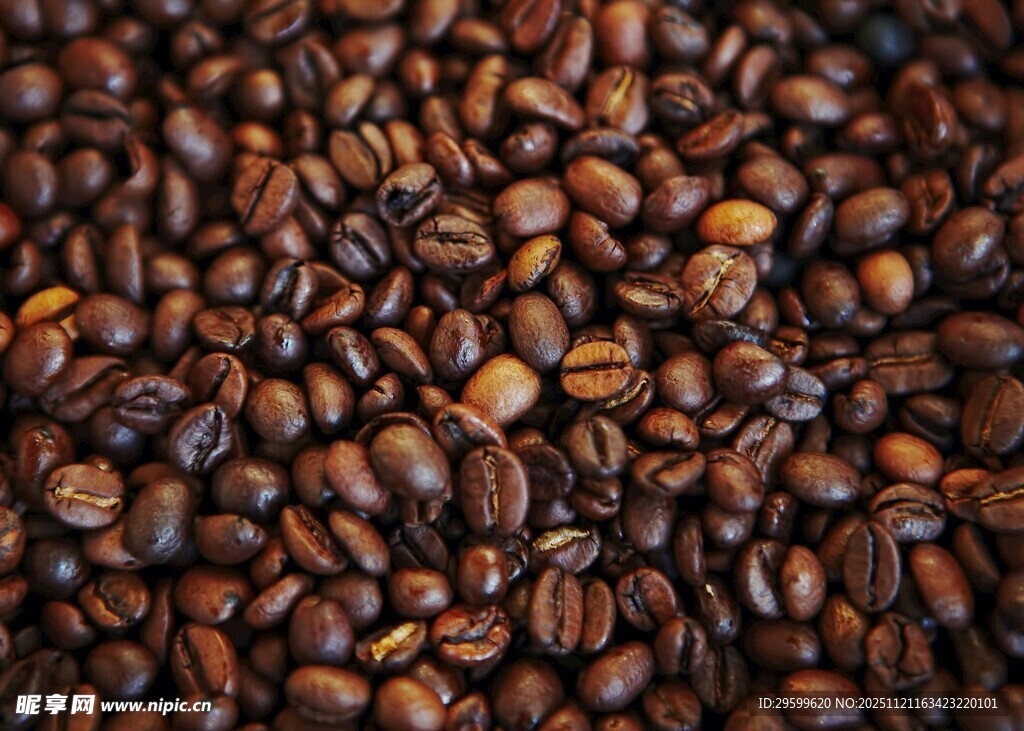 饱满咖啡豆特写