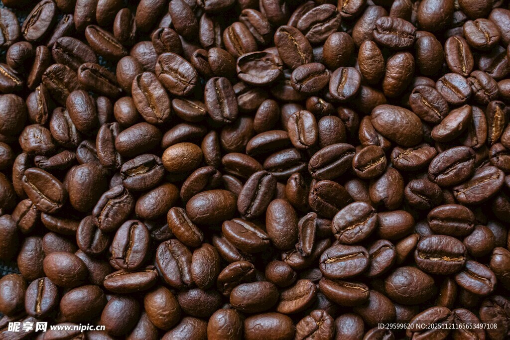 咖啡豆特写