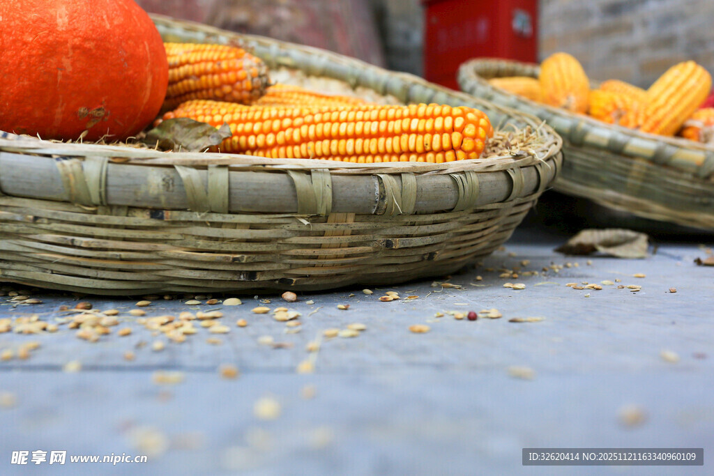 玉米 南瓜
