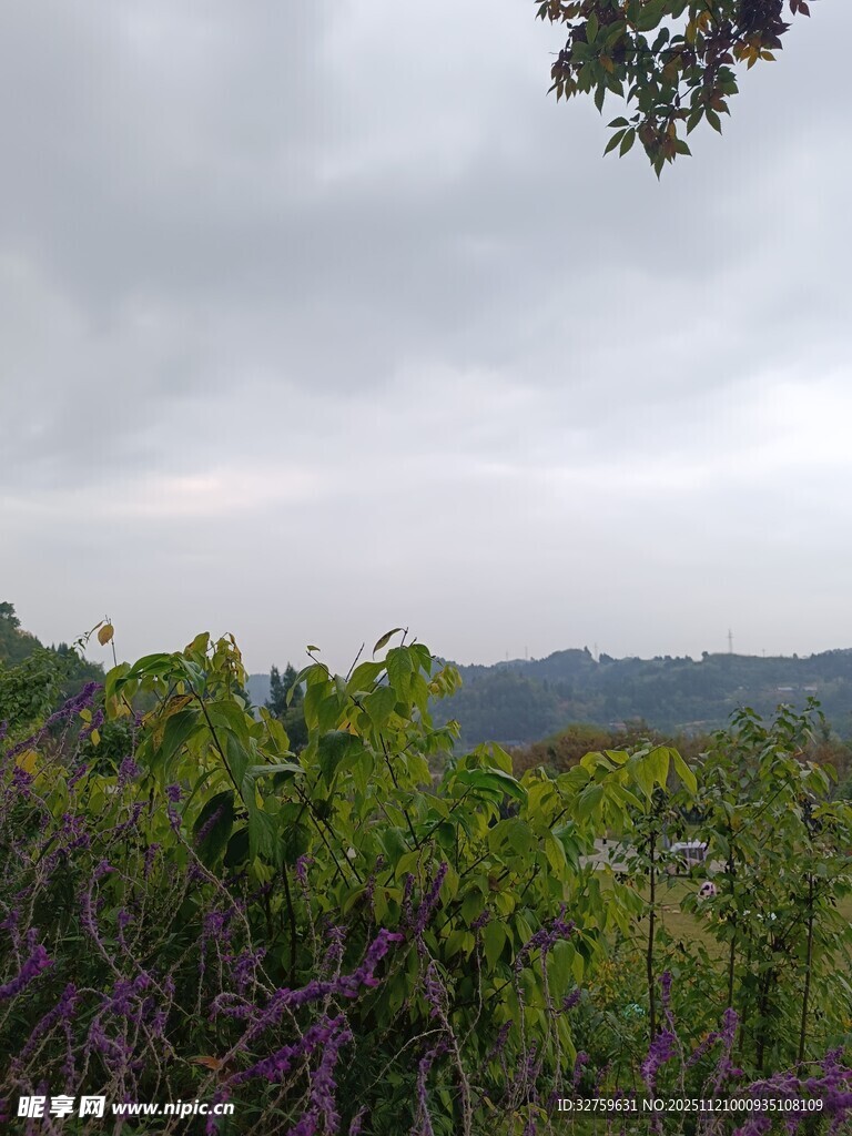 山间绿植与朦胧天际景色