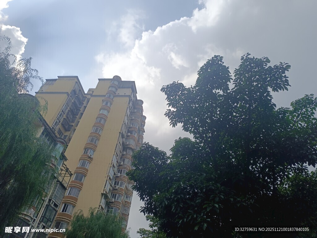 高楼旁绿树成荫的景象