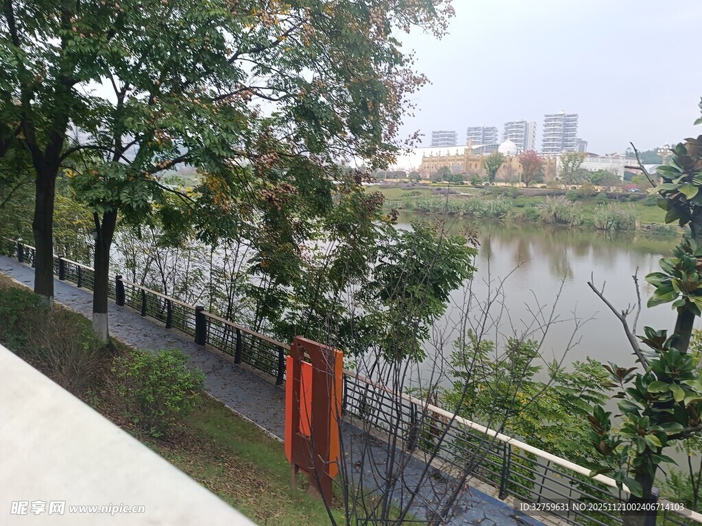 湖畔林荫步道风景