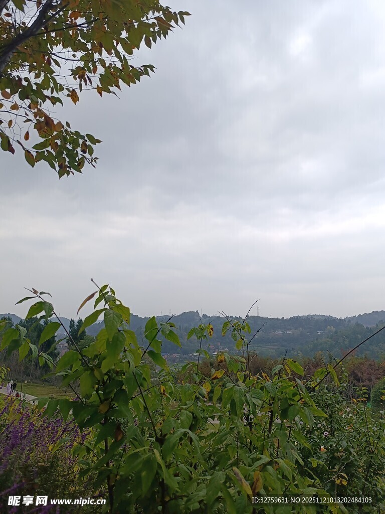 山间植被与远处朦胧山峦