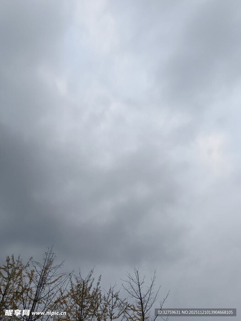 阴天树枝与厚重云层