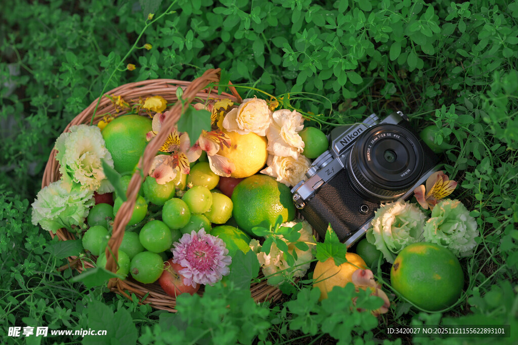 田园风蔬果与复古相机组合
