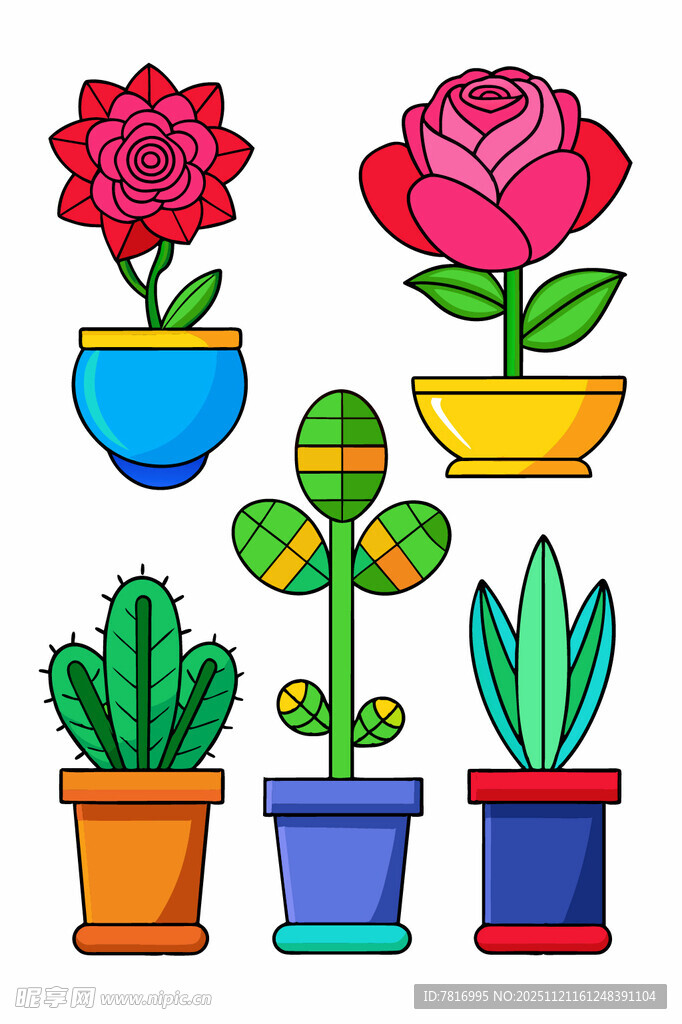 多彩盆栽花卉植物集合