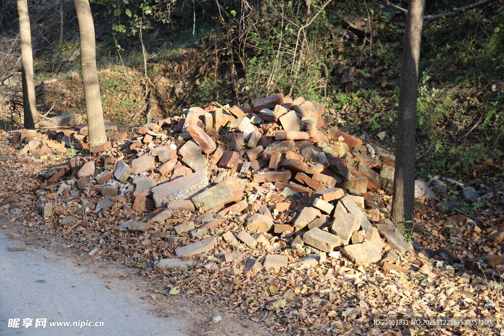 路边堆积的碎石与树木