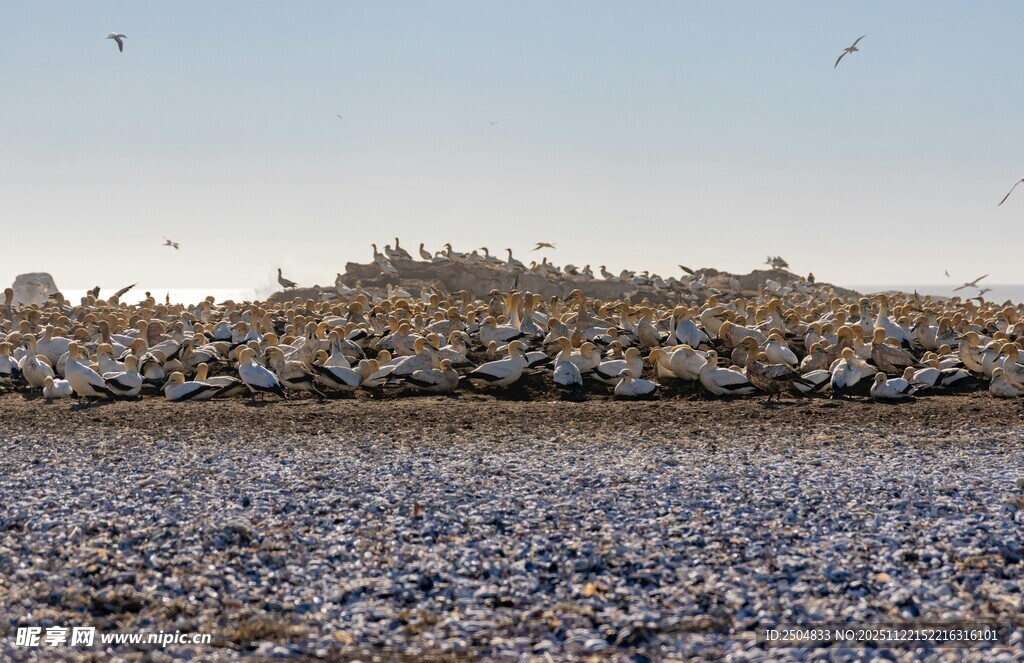 垃圾堆积的壮观场景