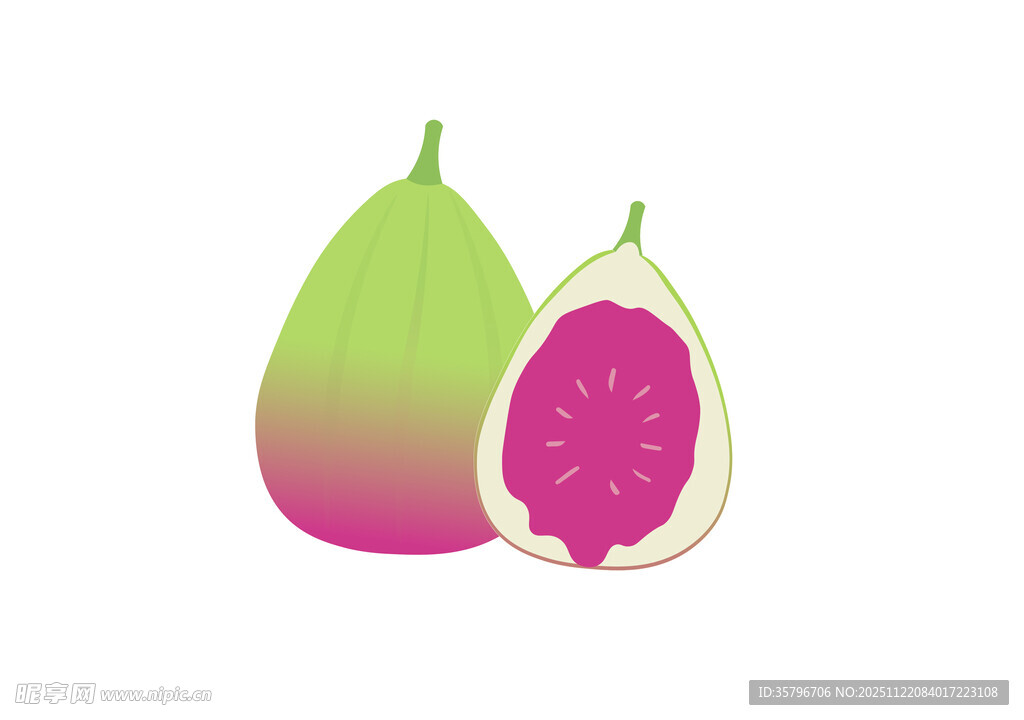 渐变色彩无花果插画