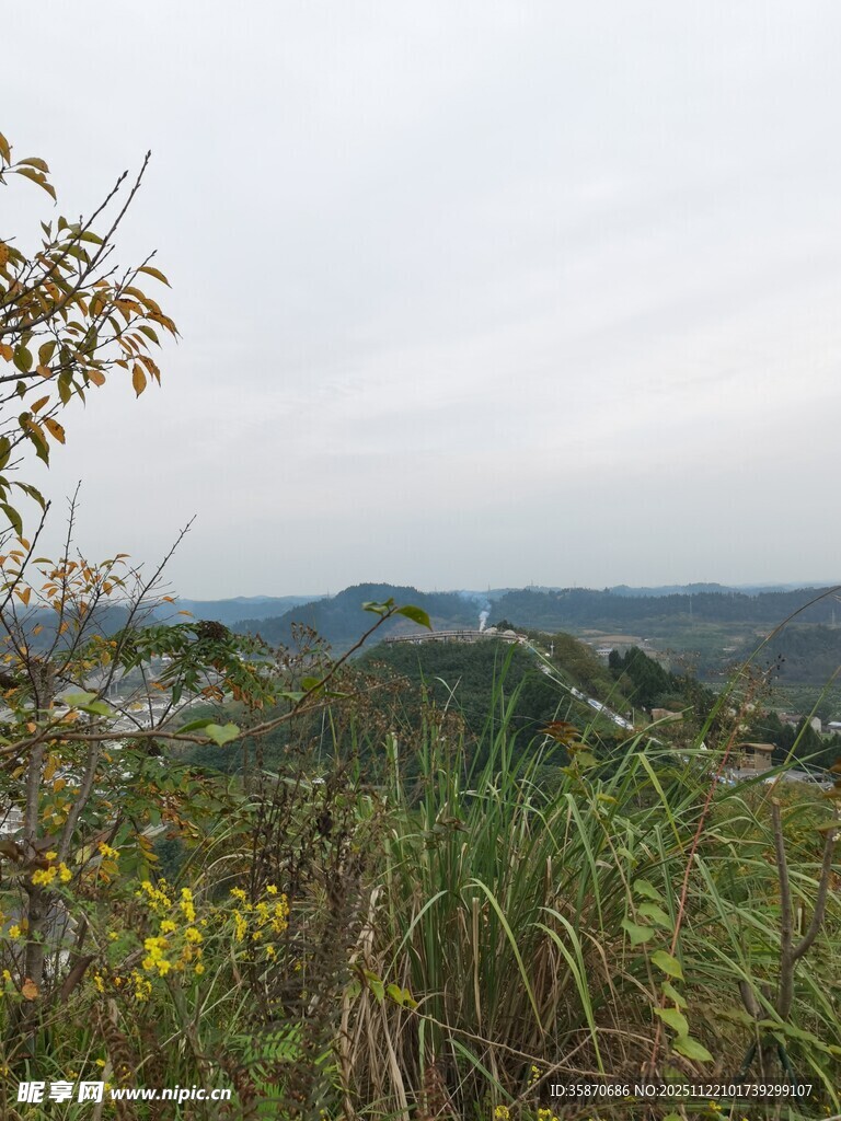 山间景致草木繁茂