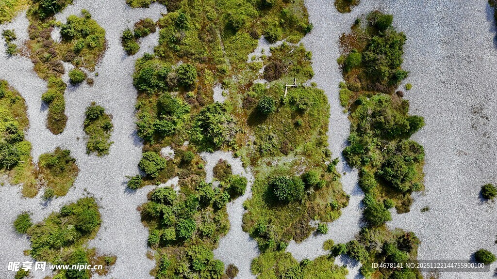 空中俯瞰绿色植物景观