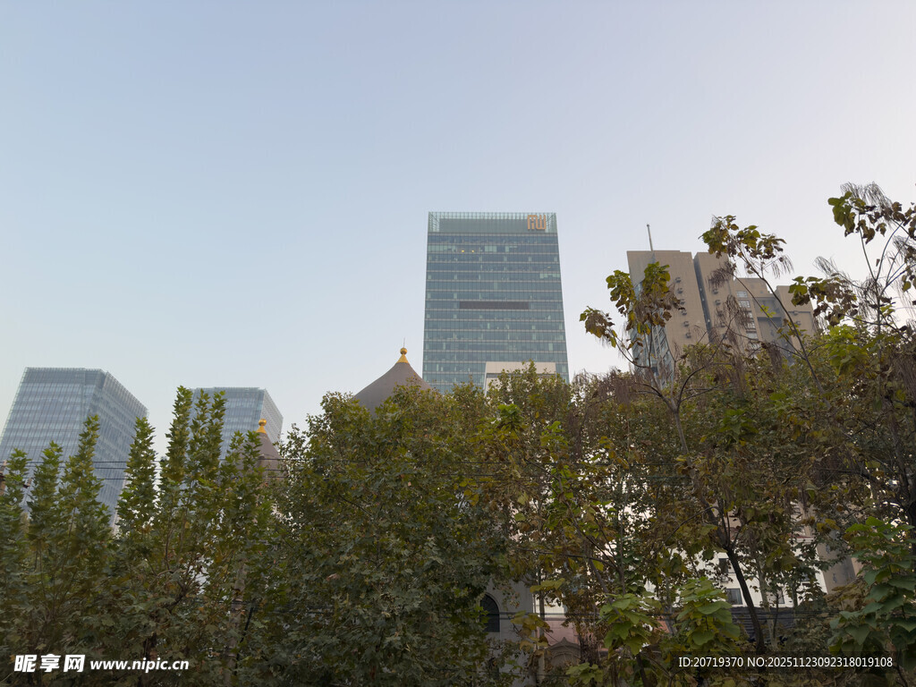 城市中林立高楼与绿树