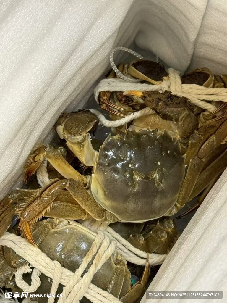 盒装捆绑大闸蟹