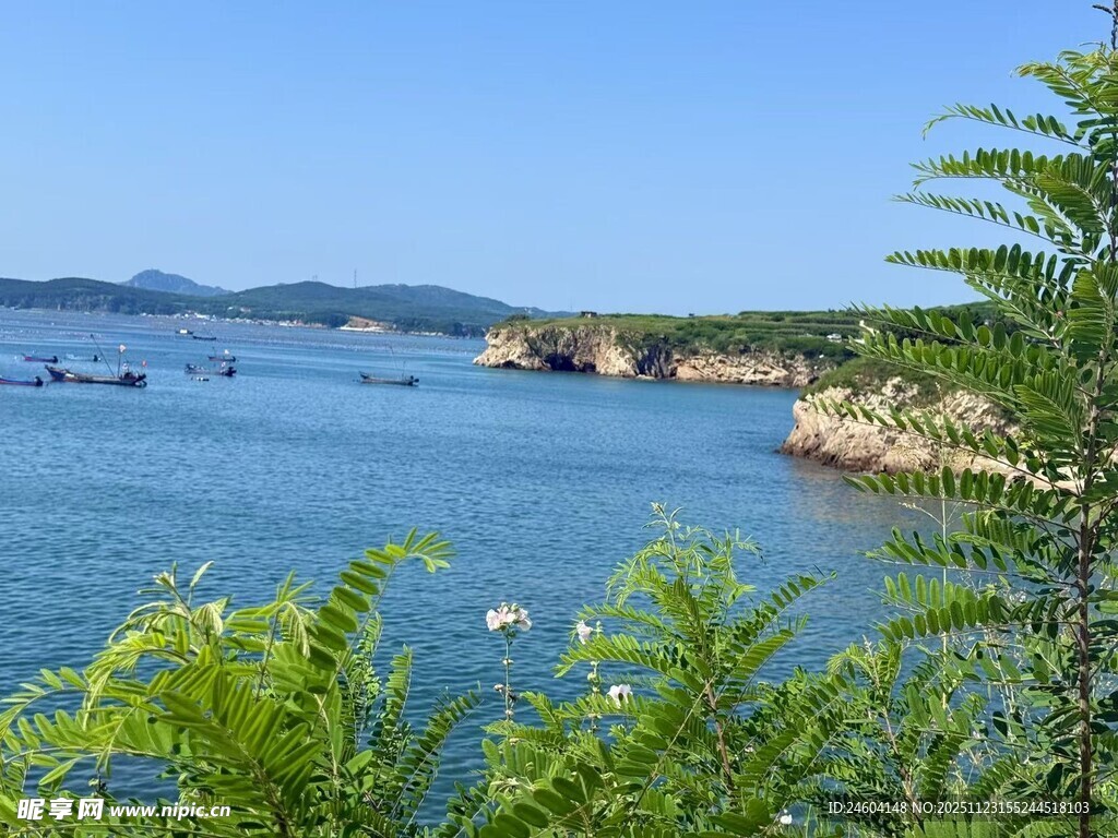 海边景致绿植点缀的蓝色海域