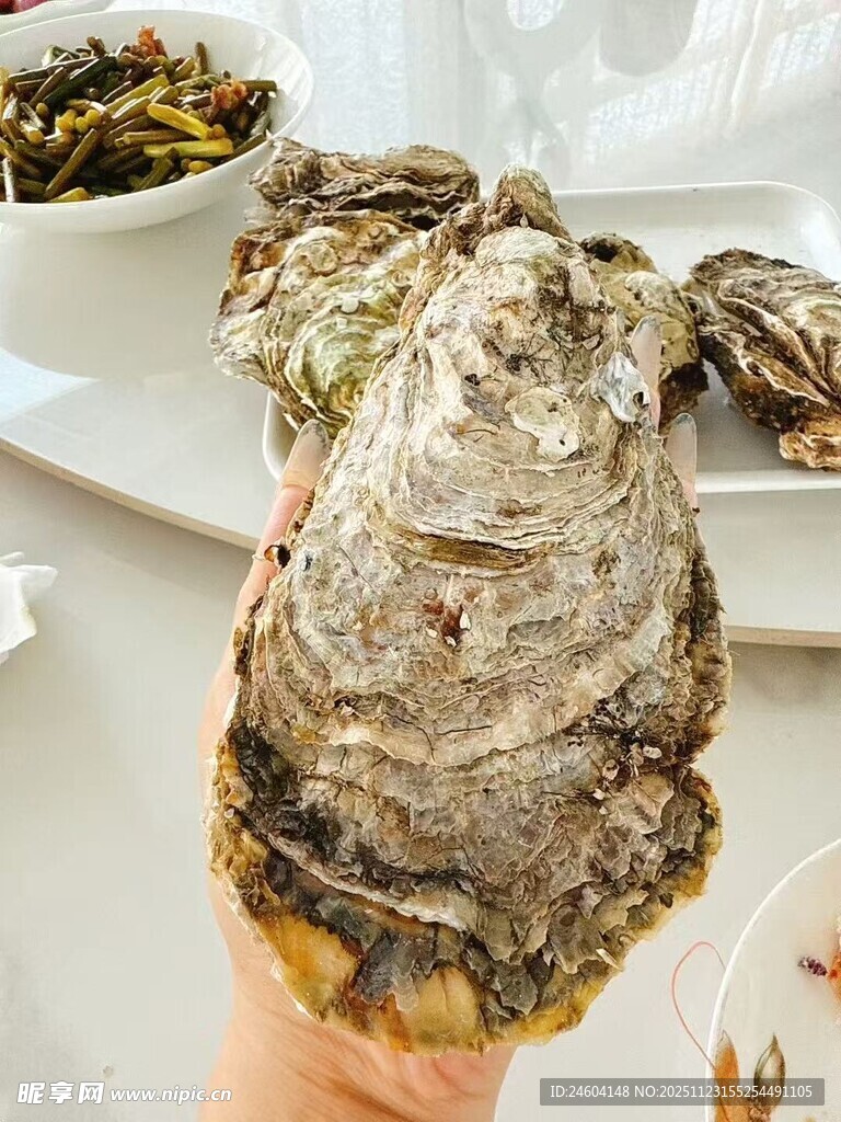 新鲜大牡蛎美味诱人