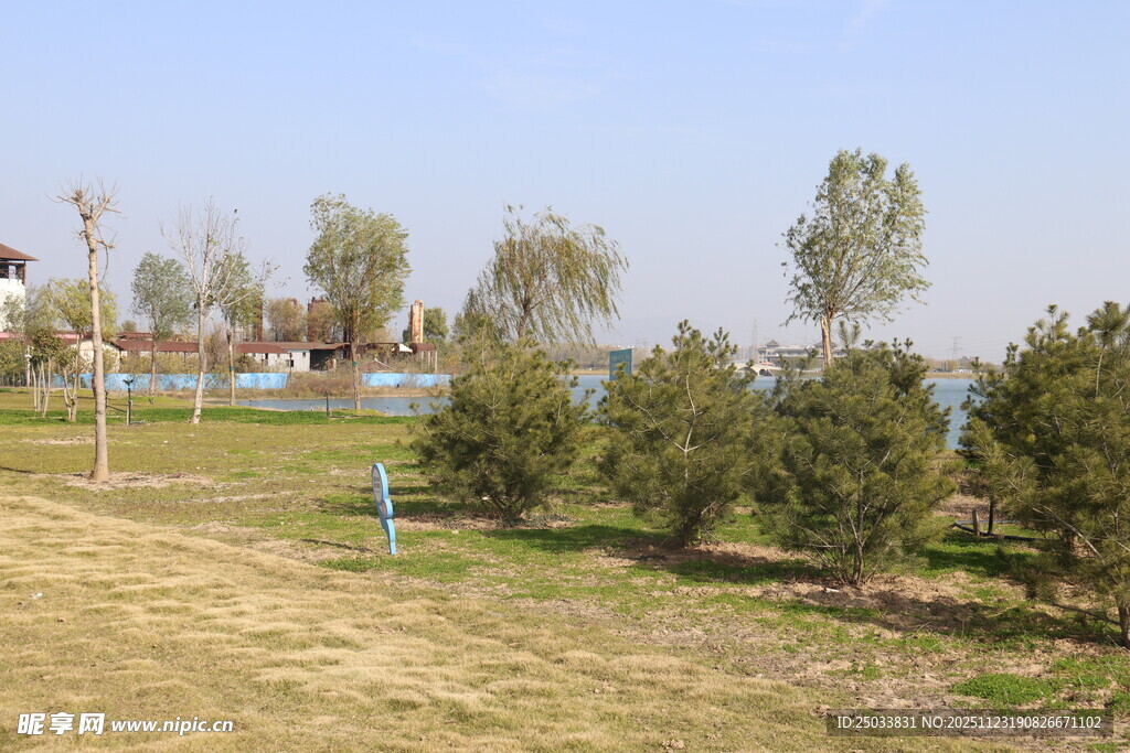 户外开阔草地与树木景观