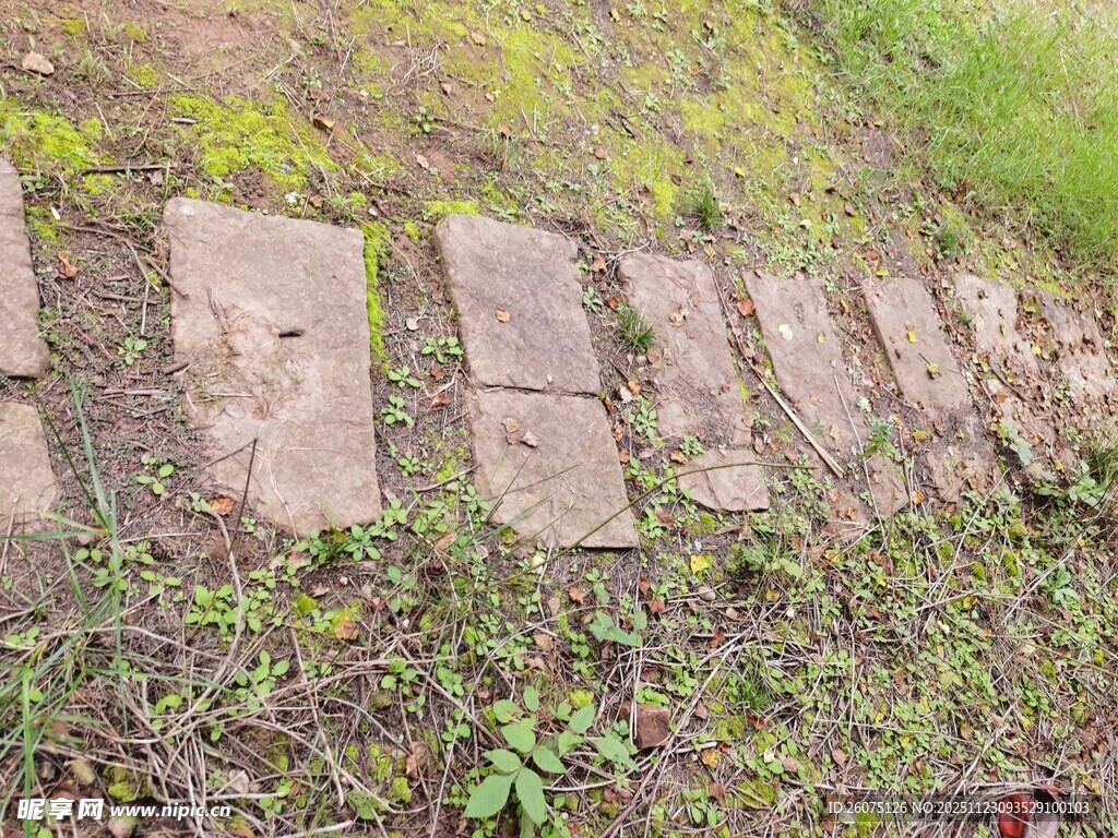 石板小径铺于草地间