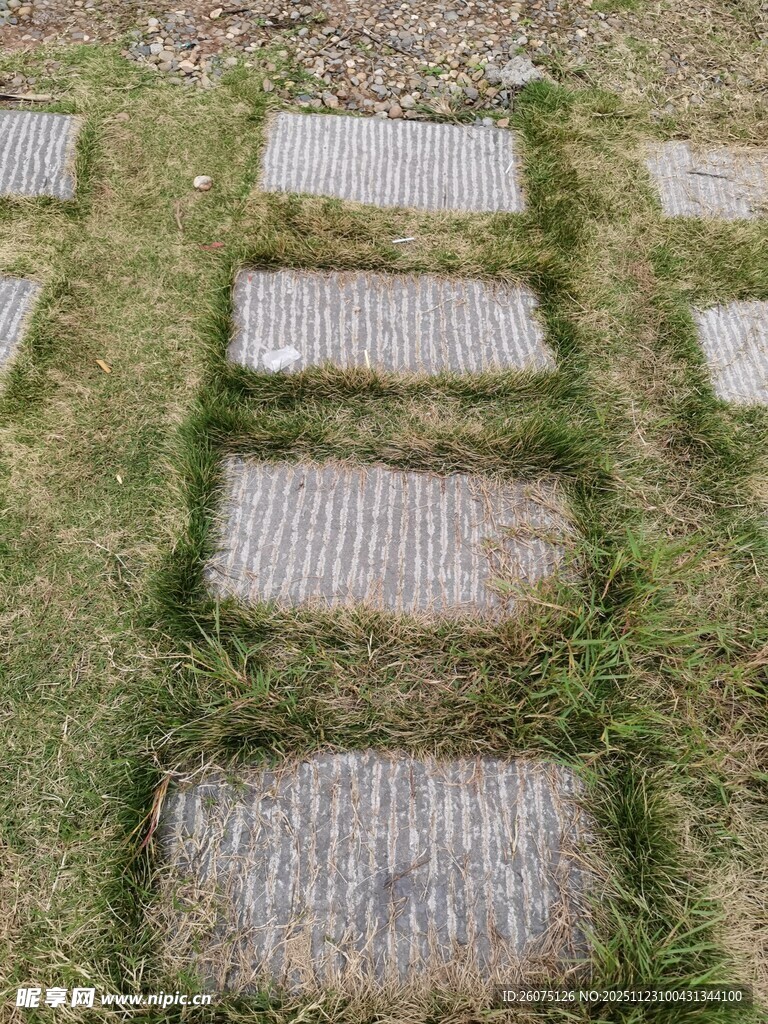 草地中的石板步道