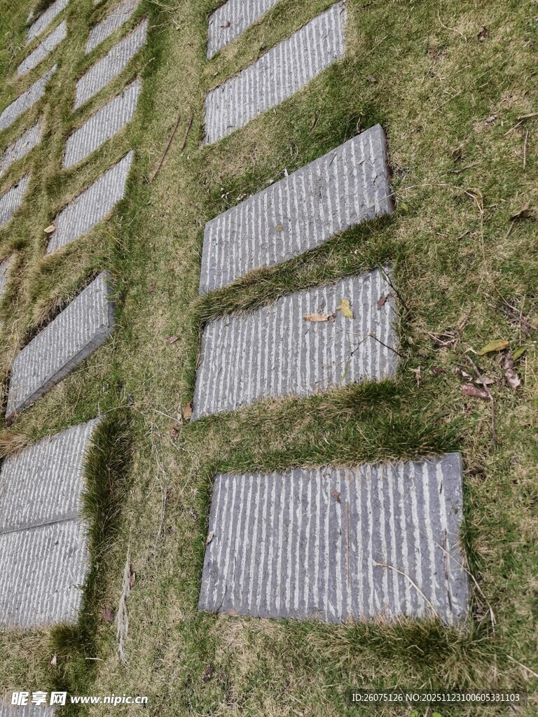 草地中的墓碑石板