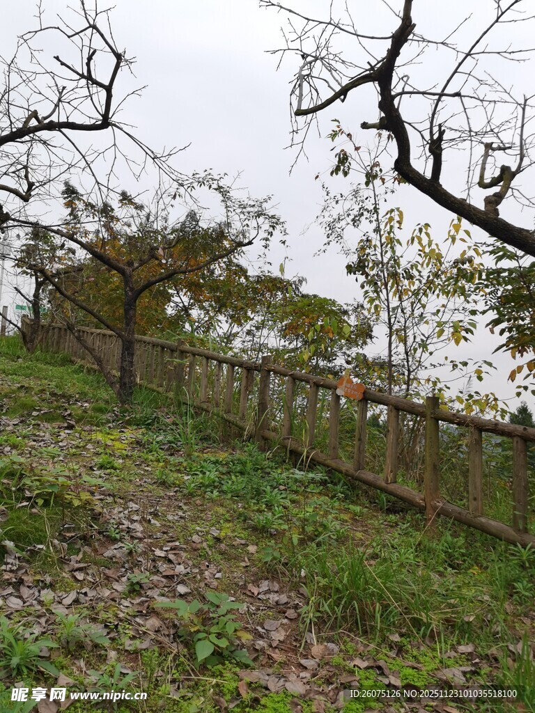 郊外围栏旁的自然景致