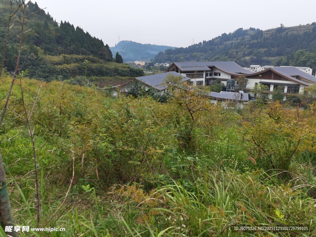 山间村落绿野环绕的景致