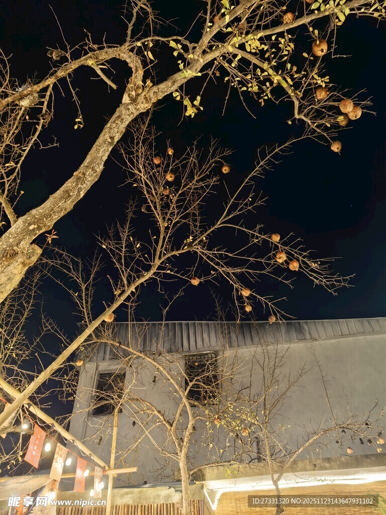 夜晚树枝下的城市建筑