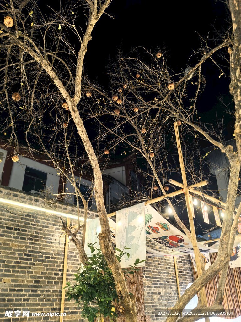 夜晚街边光秃树木与建筑