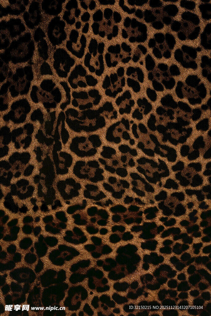 豹纹图案纹理特写