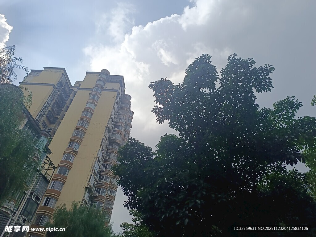 高楼旁绿树成荫的景致