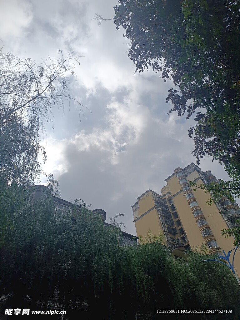 阴天里的楼宇与葱郁树木