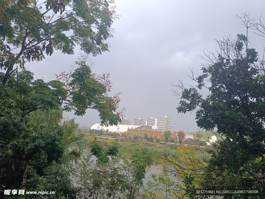 林间远望城市天际线