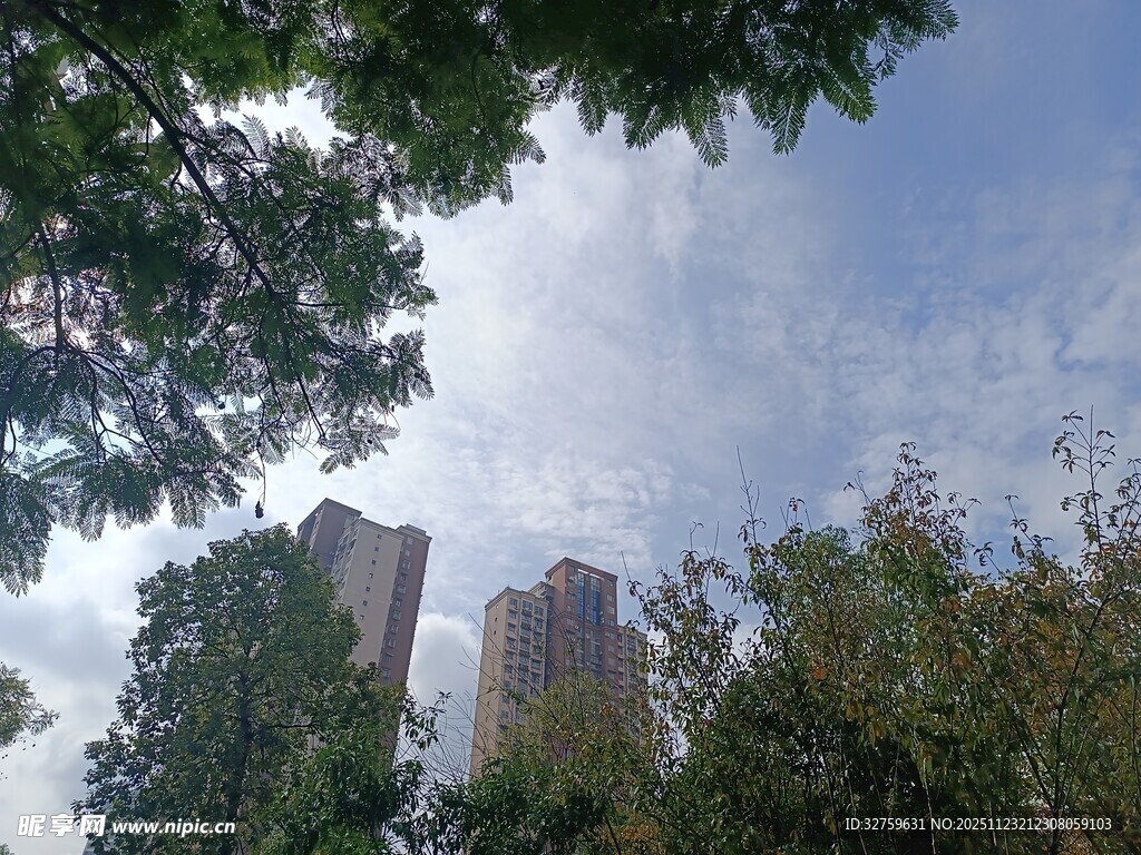 绿树环绕中的高楼景象