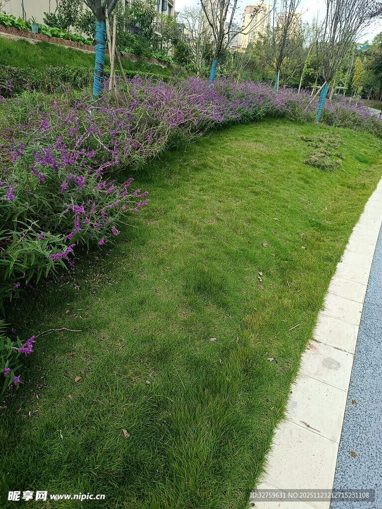 城市绿地中的多彩花卉景观